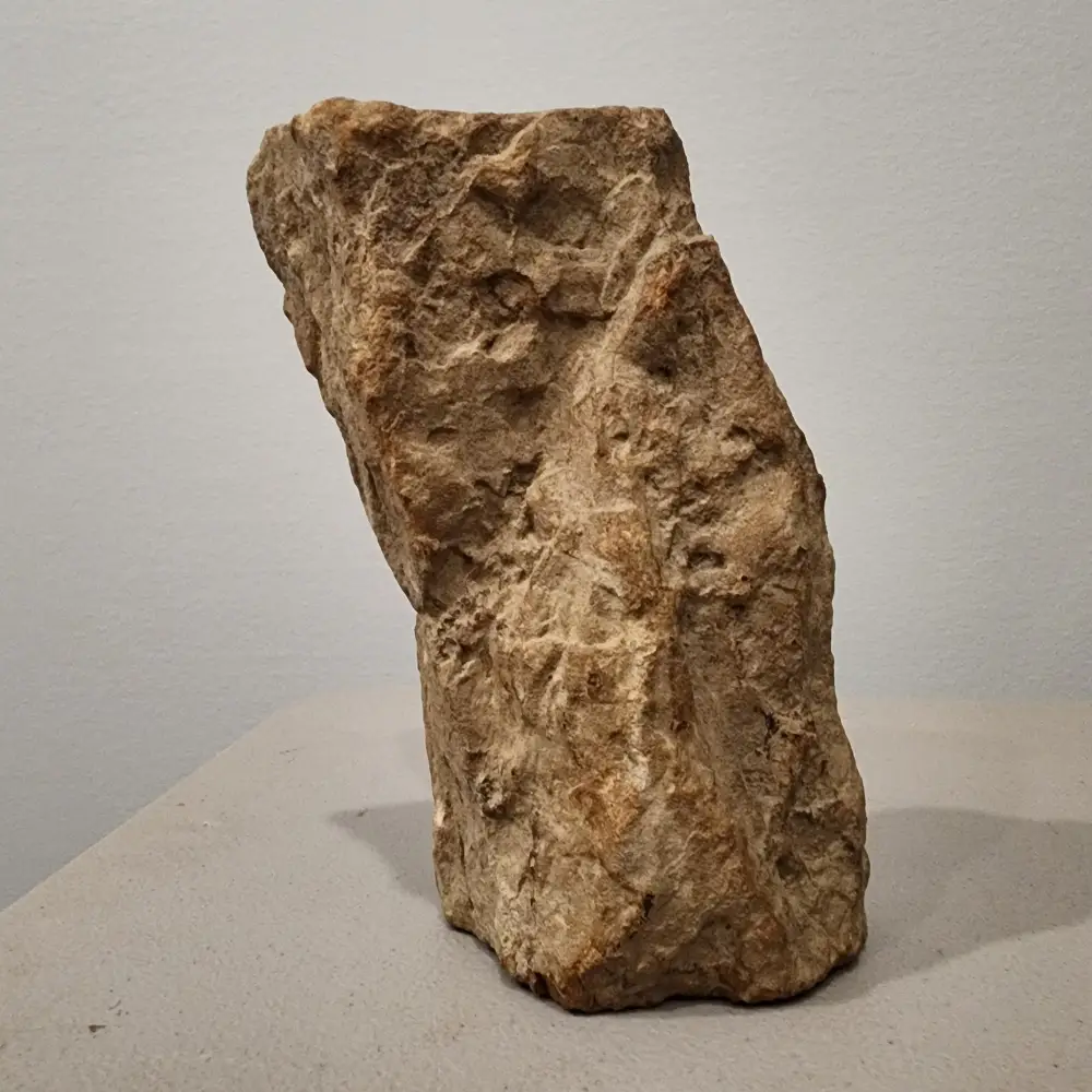 A rough, irregular brown rock standing upright on a light table against a pale wall.